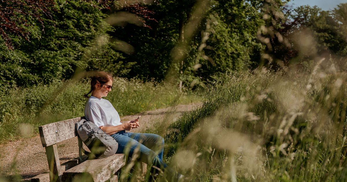A2 dicht? Ontdek wat er wél te beleven is