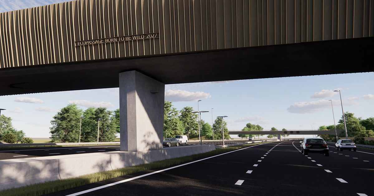 Toerit Born (47b) richting Maastricht afgesloten voor bouw faunapassage